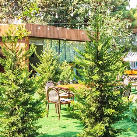 White Villa Hotel Baku-3