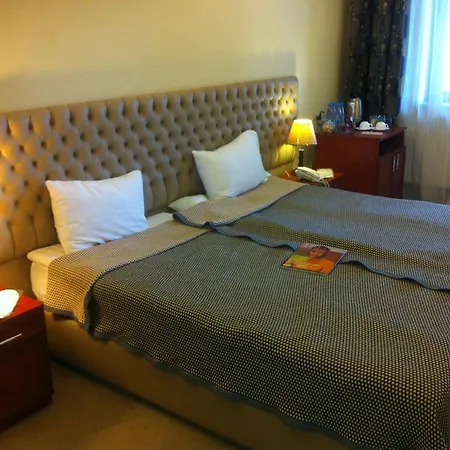 Bq Hotels - NoahS Ark-3