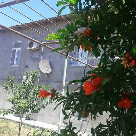 Guest House Near Baku Airport-2
