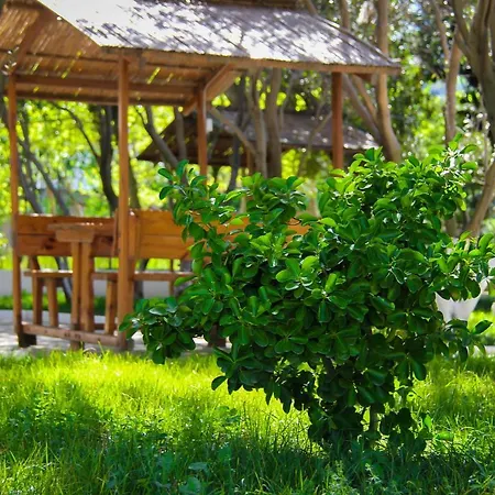 Mavi Dalga Beach Hotel-2
