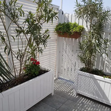 Citrus Boutique Hotel-3
